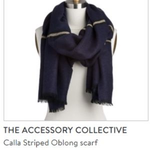 Stitch Fix Calla Striped Oblong Scarf